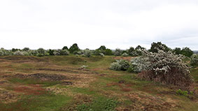 Former gravel pits that exploited Bytham sands and gravels on Maidscross Hill, Lakenheath