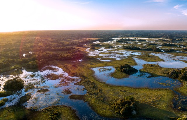 brazilian-wetlands-640