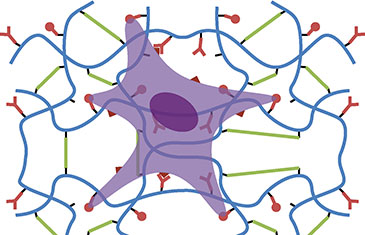 Design of artificial extra-cellular matrix