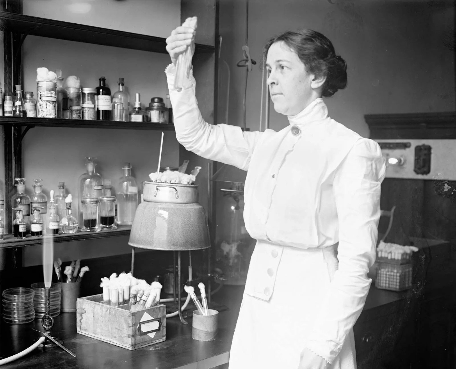 image of Alice C. Evans in a lab