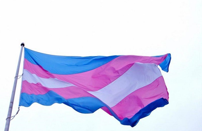 Blue, pink and white Transgender Flag
