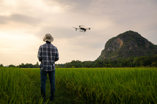 Smart-farming law and sustainability with Dr Fernando Barrio