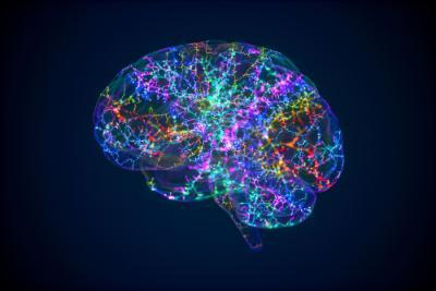 3D human brain with colorful synapses