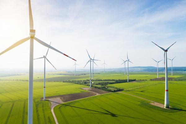 Wind turbines in a green field